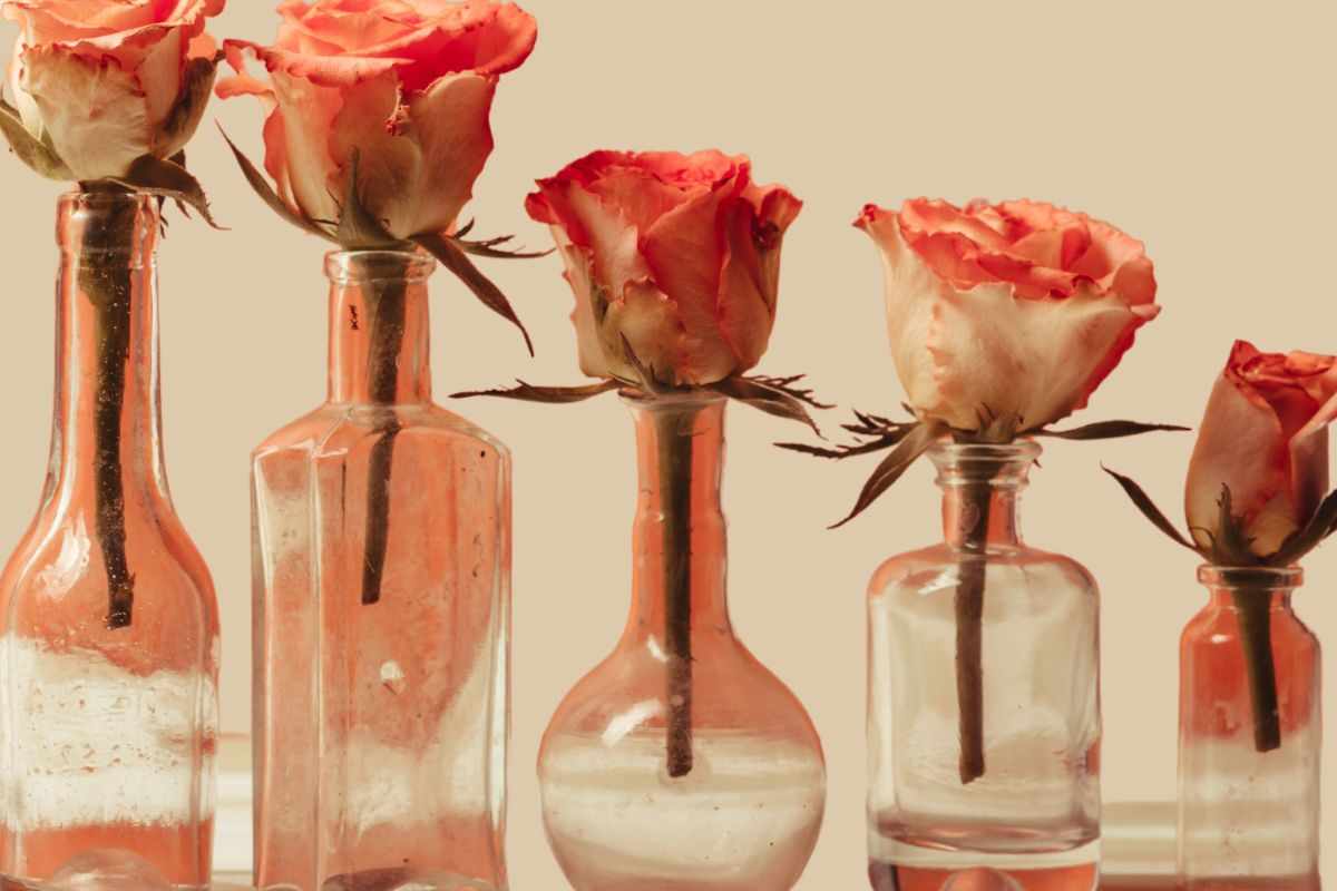 la tua bottiglia di liquore finita potrebbe diventare anche un vaso per i fiori