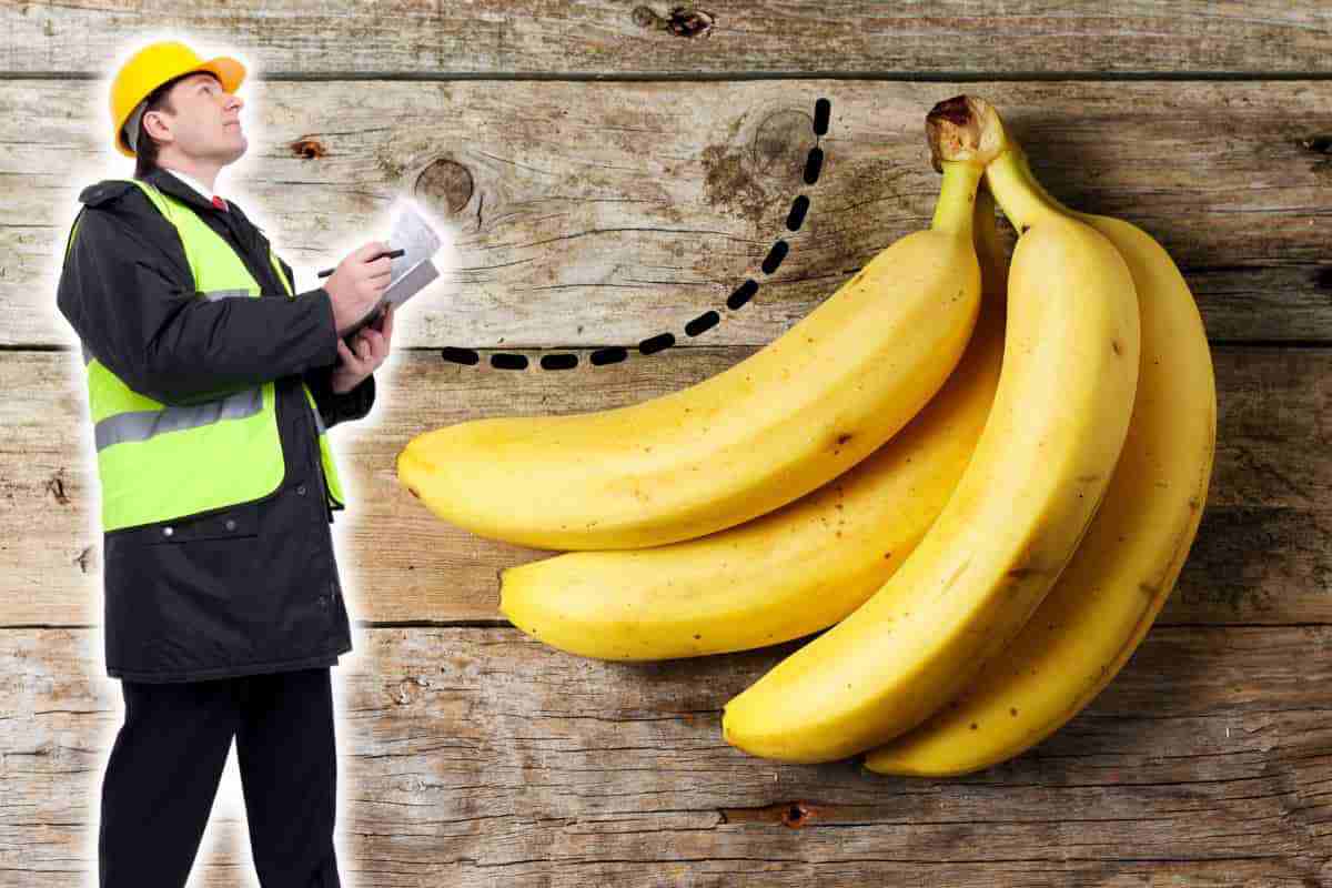 perché le banane sono curve